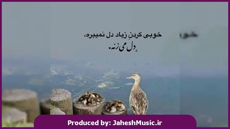 دانلود آهنگ میگم هیچ وقت آزارش ندی هیچوقت اونه نرنجانی از محسن لرستانی